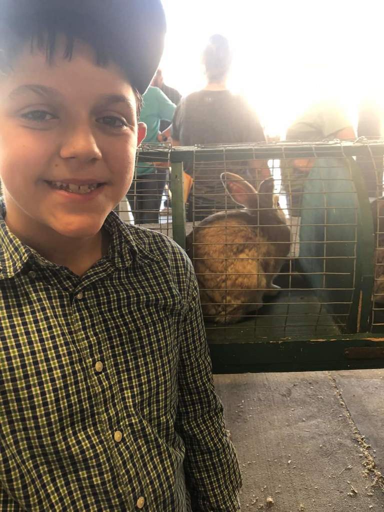 Live Feed | Mayflower Middle School