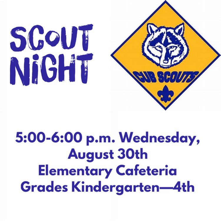 scout Night